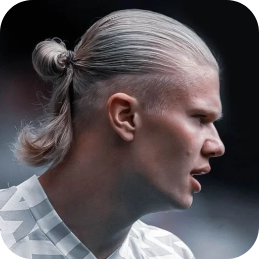 🔥 Стикер «Erling Haaland» для Telegram