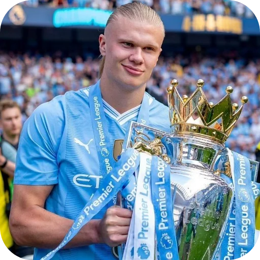 🔥 Стикер «Erling Haaland» для Telegram