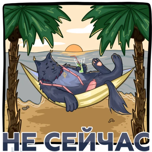 🌴 Стикер «Holy Cat» для Telegram