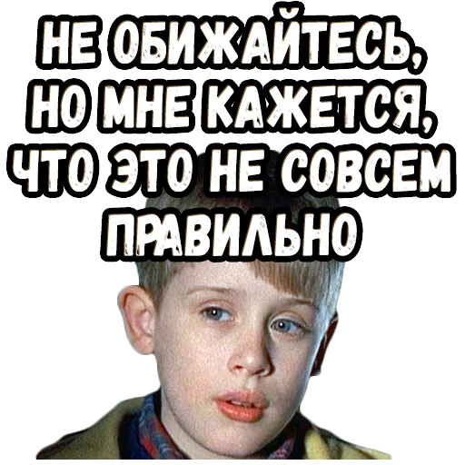 🧐 Стикер «Один дома 2 (2)» для Telegram