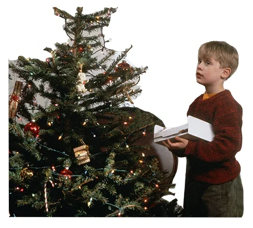 🎄 Стикер «Home Alone Funny» для Telegram