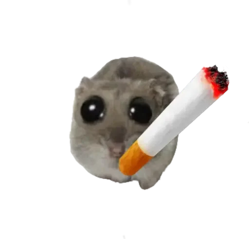 🚬 Стикер «sad hamster» для Telegram