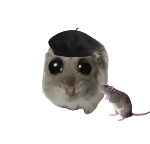 🥺 Стикер «sad hamster» для Telegram