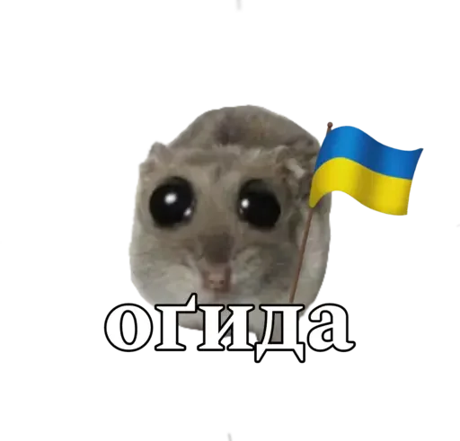 🥺 Стикер «sad hamster» для Telegram