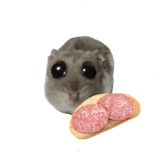 🥺 Стикер «sad hamster» для Telegram