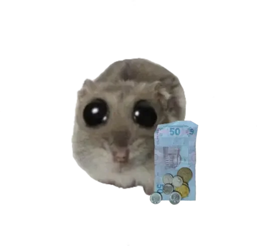🥺 Стикер «sad hamster» для Telegram