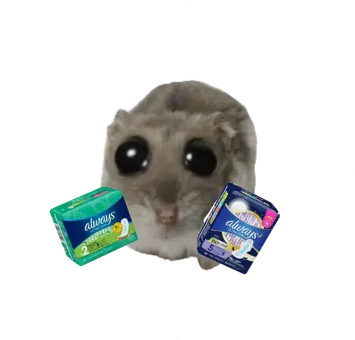 🥺 Стикер «sad hamster» для Telegram