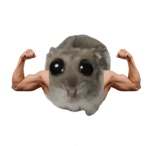 🥺 Стикер «sad hamster» для Telegram