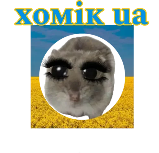 💅 Стикер «sad hamster» для Telegram