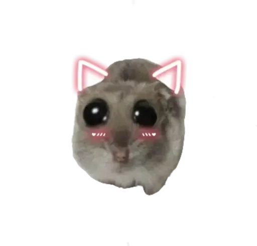 🥺 Стикер «sad hamster» для Telegram