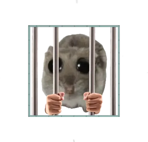 🥺 Стикер «sad hamster» для Telegram