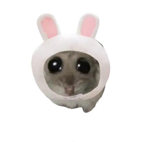 🥺 Стикер «sad hamster» для Telegram