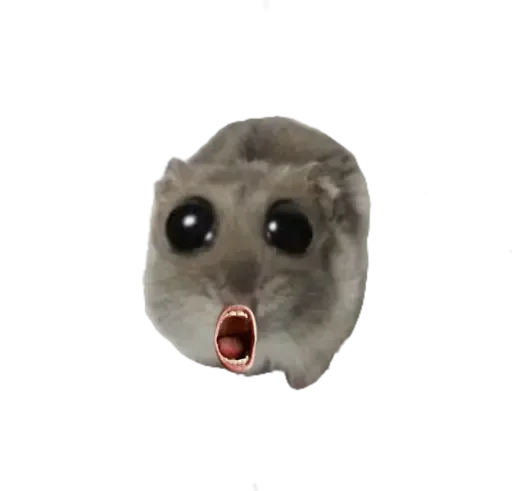 🥺 Стикер «sad hamster» для Telegram