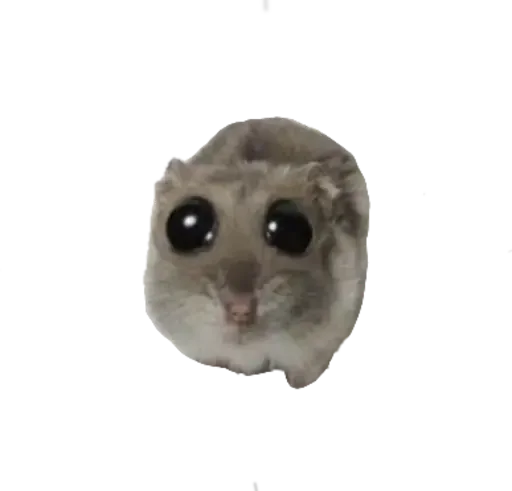 🥺 Стикер «sad hamster» для Telegram