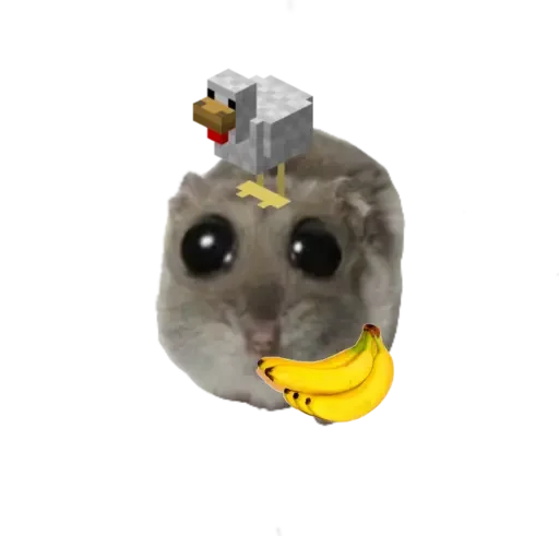 🥺 Стикер «sad hamster» для Telegram