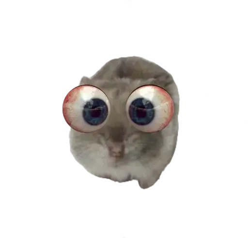 😳 Стикер «sad hamster» для Telegram