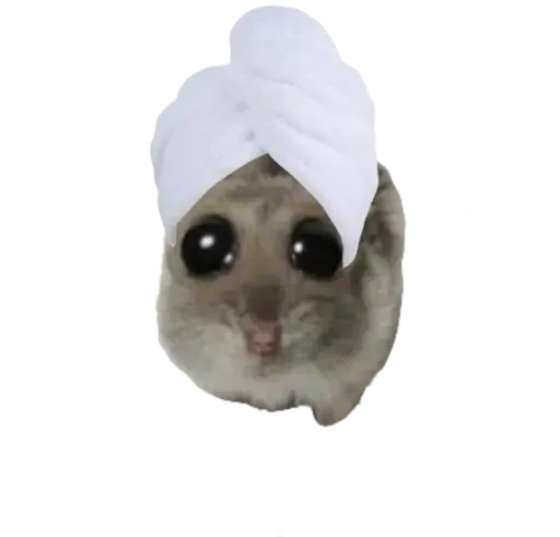 🥺 Стикер «sad hamster» для Telegram