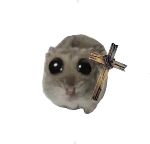 🥺 Стикер «sad hamster» для Telegram