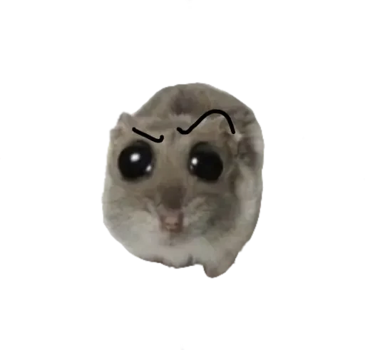 🤨 Стикер «sad hamster» для Telegram