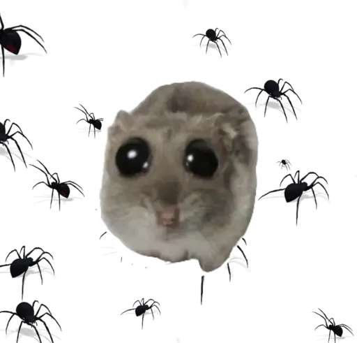 🥺 Стикер «sad hamster» для Telegram