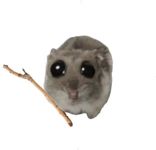 🥺 Стикер «sad hamster» для Telegram