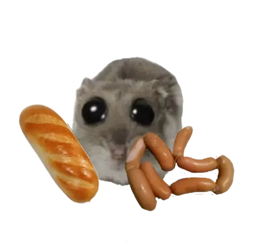 🥖 Стикер «sad hamster» для Telegram