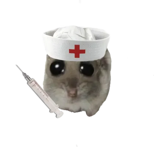 💉 Стикер «sad hamster» для Telegram