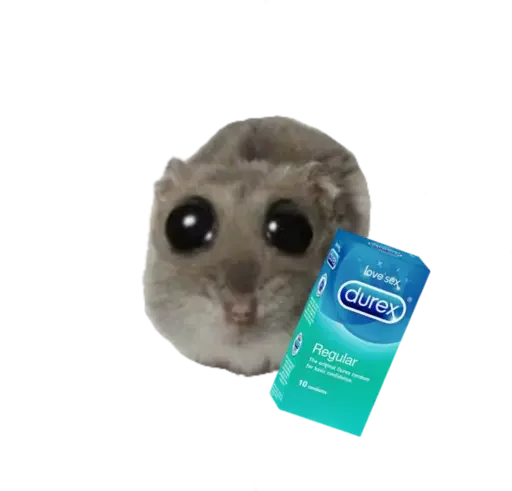 🥺 Стикер «sad hamster» для Telegram