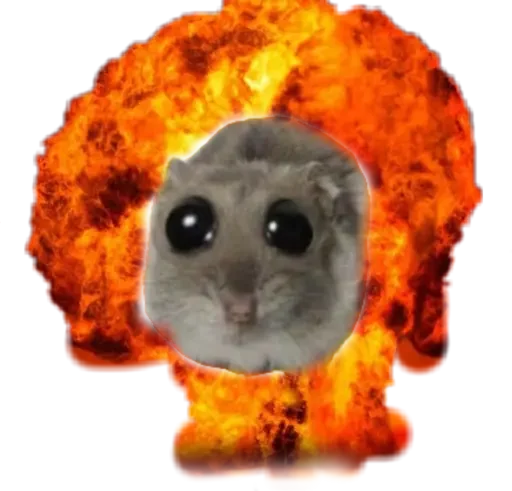 🥺 Стикер «sad hamster» для Telegram