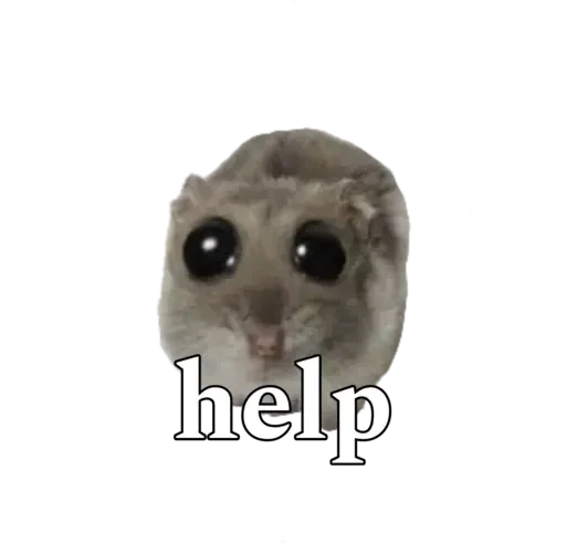 🥺 Стикер «sad hamster» для Telegram