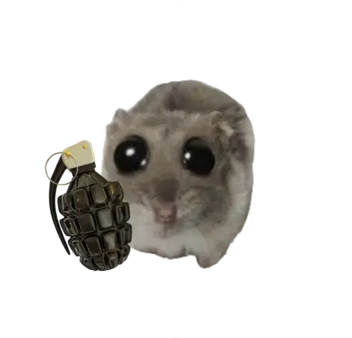 🥺 Стикер «sad hamster» для Telegram