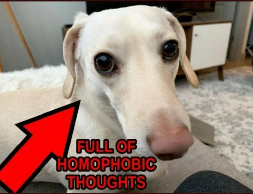 💭 Стикер «homophobic dog» для Telegram