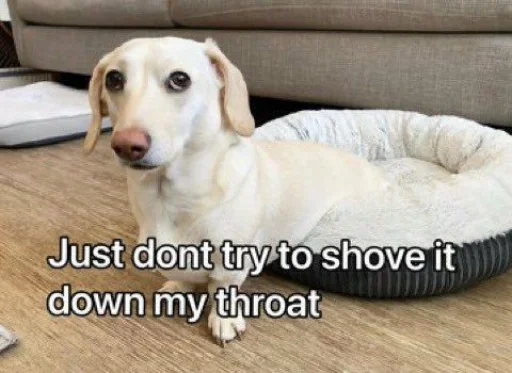 🙄 Стикер «homophobic dog» для Telegram