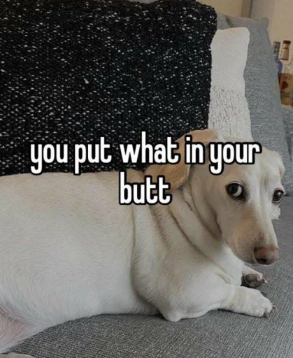 🍑 Стикер «homophobic dog» для Telegram