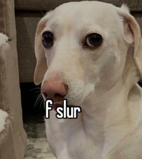 😵 Стикер «homophobic dog» для Telegram