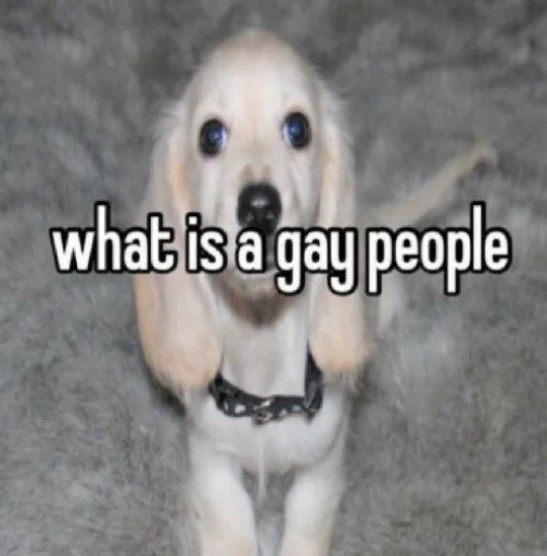 😳 Стикер «homophobic dog» для Telegram