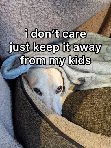 🚸 Стикер «homophobic dog» для Telegram