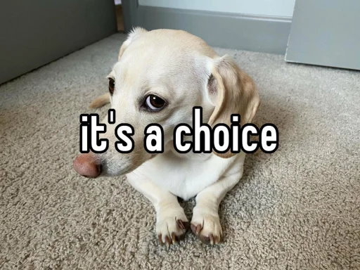 😒 Стикер «homophobic dog» для Telegram