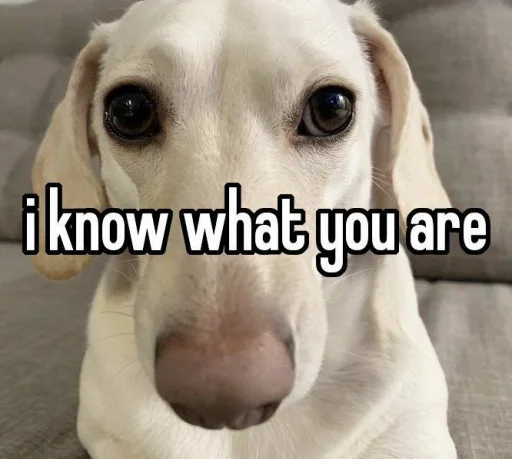 👁 Стикер «homophobic dog» для Telegram