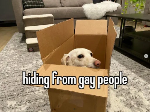 📦 Стикер «homophobic dog» для Telegram