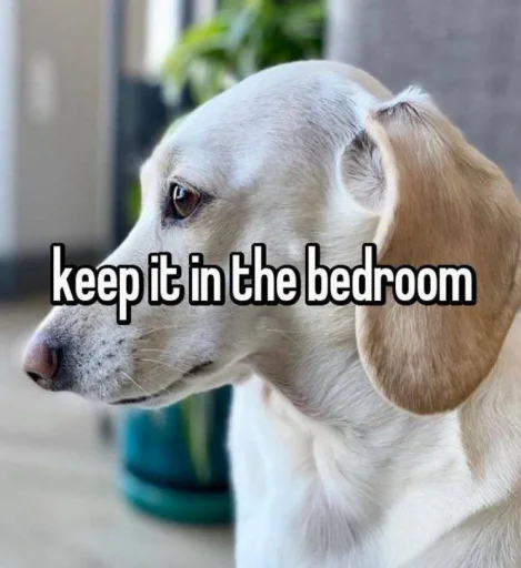 🛏 Стикер «homophobic dog» для Telegram