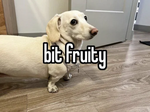 🍌 Стикер «homophobic dog» для Telegram