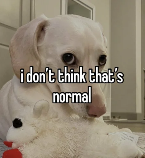😒 Стикер «homophobic dog» для Telegram