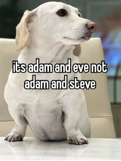 Стикерпак homophobic dog для Telegram
