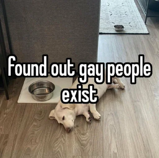 😖 Стикер «homophobic dog» для Telegram
