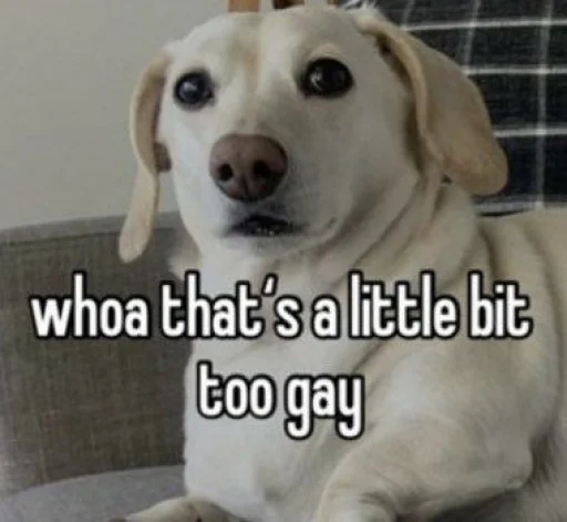 😖 Стикер «homophobic dog» для Telegram