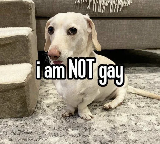 ⛔️ Стикер «homophobic dog» для Telegram