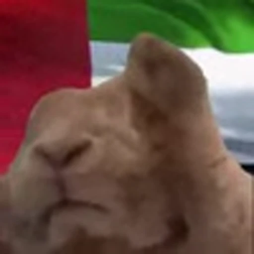 🇦🇪 Эмодзи «Rabbit Vibe» для Telegram