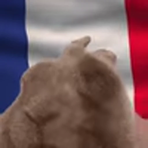 🇫🇷 Эмодзи «Rabbit Vibe» для Telegram
