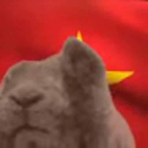 🇻🇳 Эмодзи «Rabbit Vibe» для Telegram
